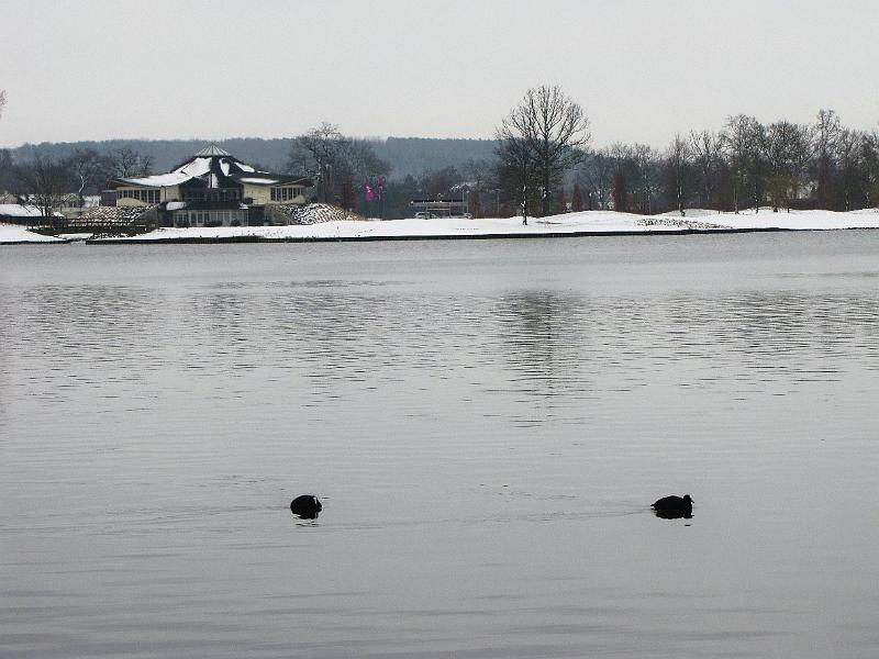 Wandeling De Paalse Plas 24-2-2013 (34).JPG